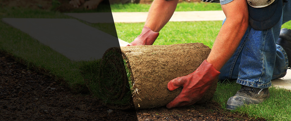 Overland Park Landscapers